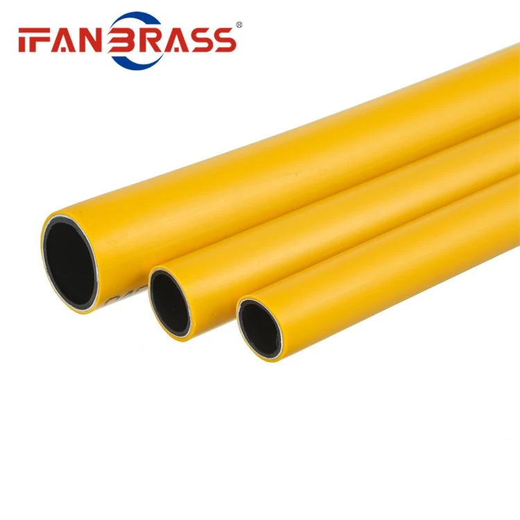 Coneixement de PERT PIPES